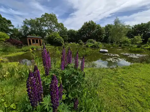 Nature pond and planted gardens