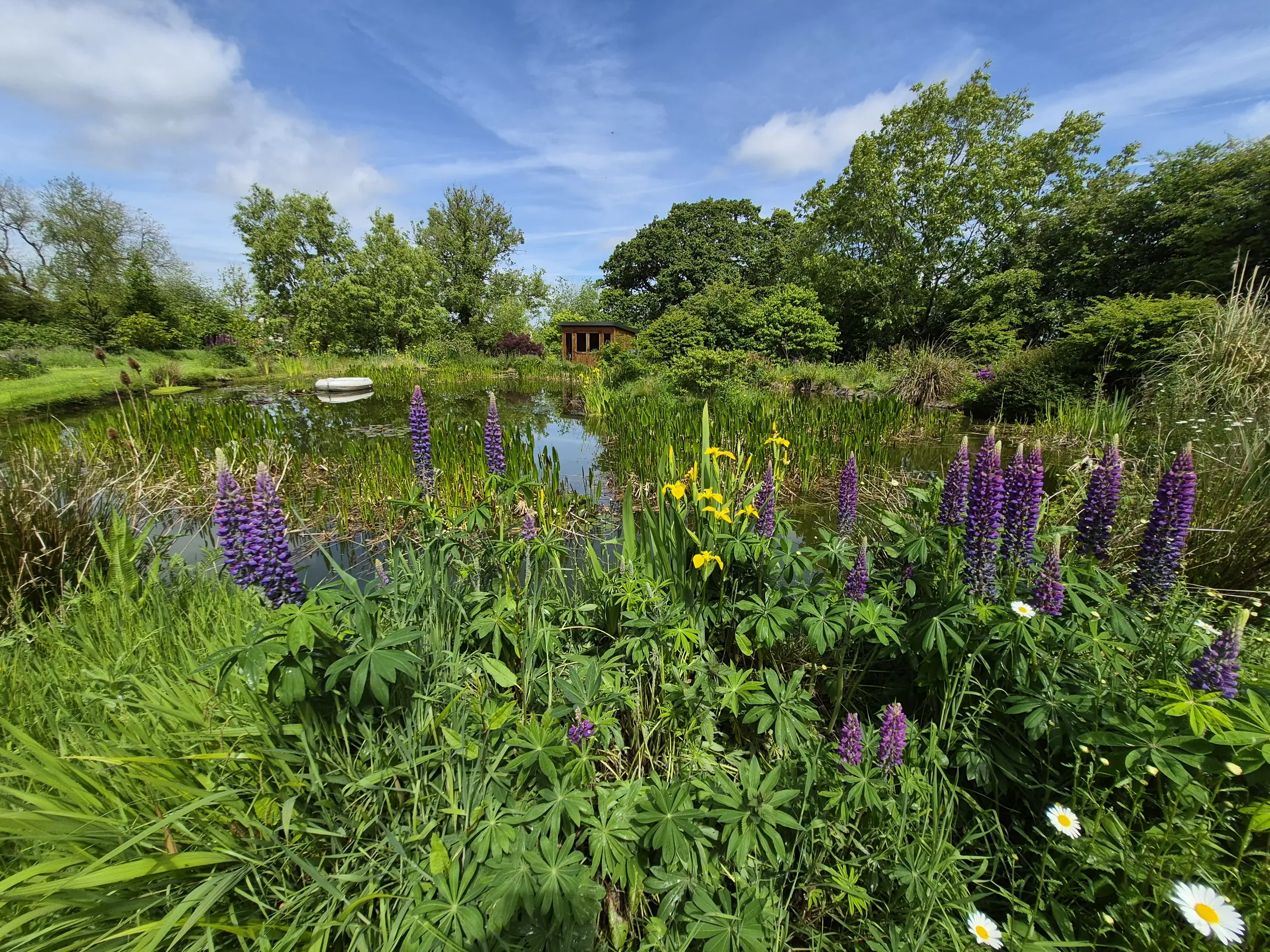 Enclosed nature pond area