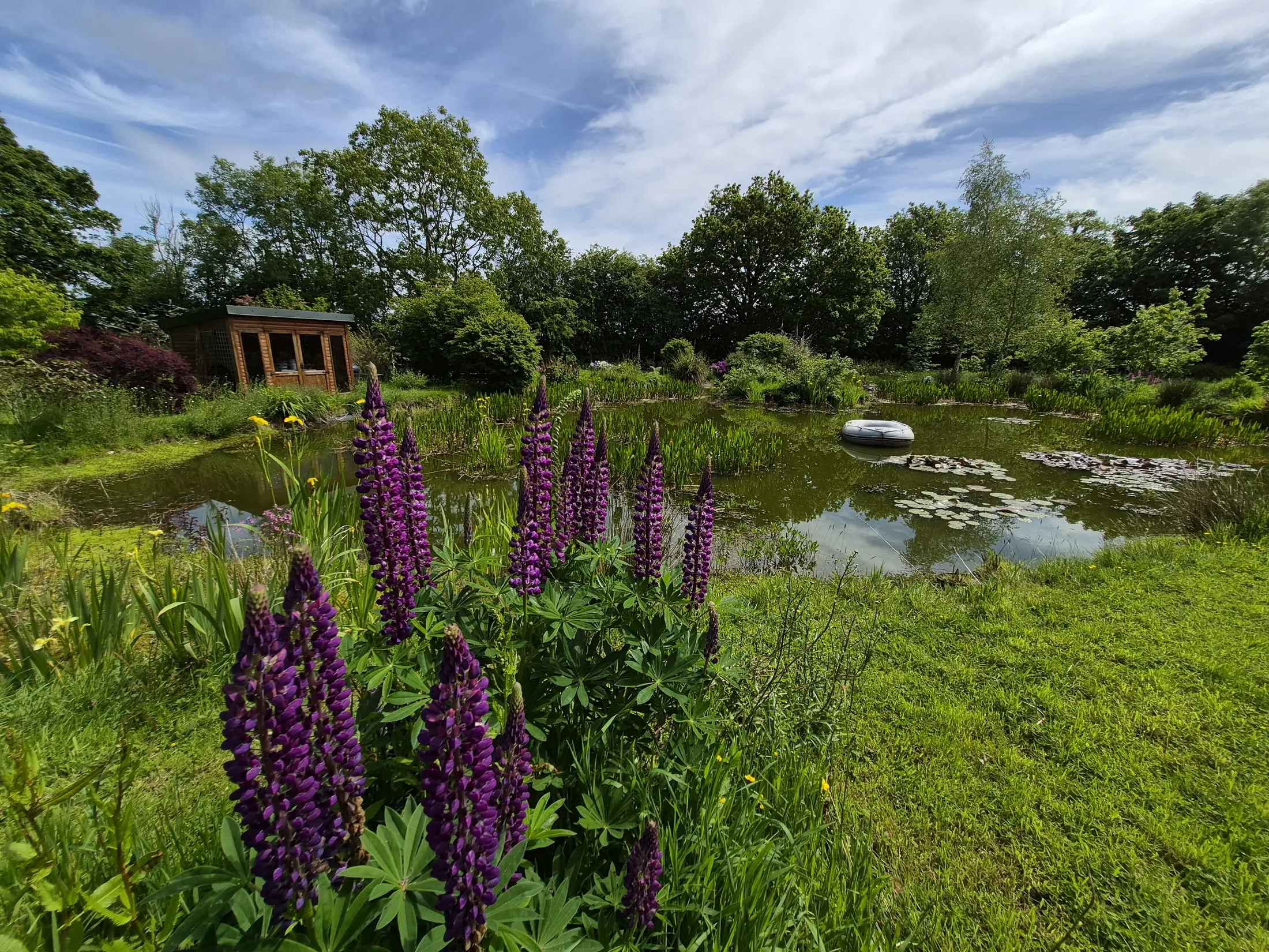 Nature pond and planted gardens