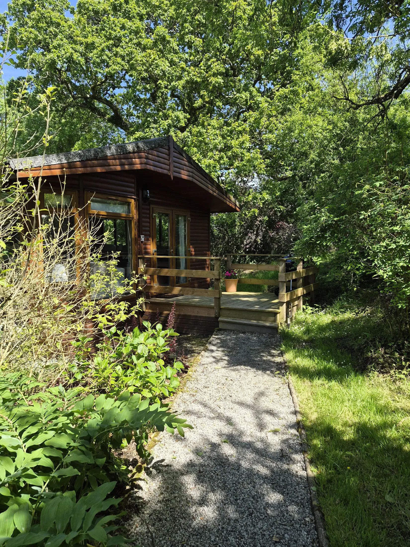 Torridge Lodge in its secluded woodland setting